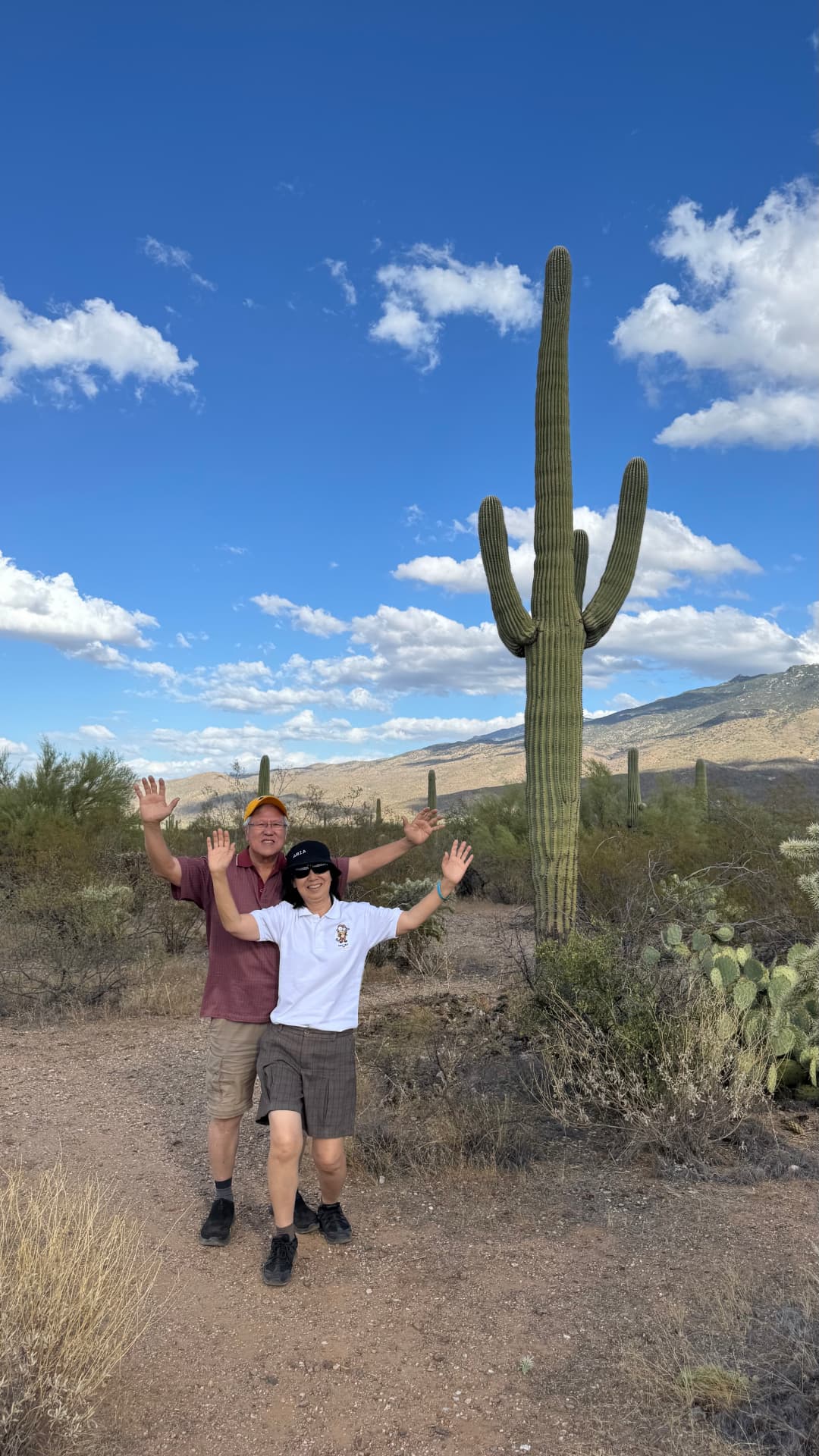 Saguaro National Park and Tucson travel photograph 19