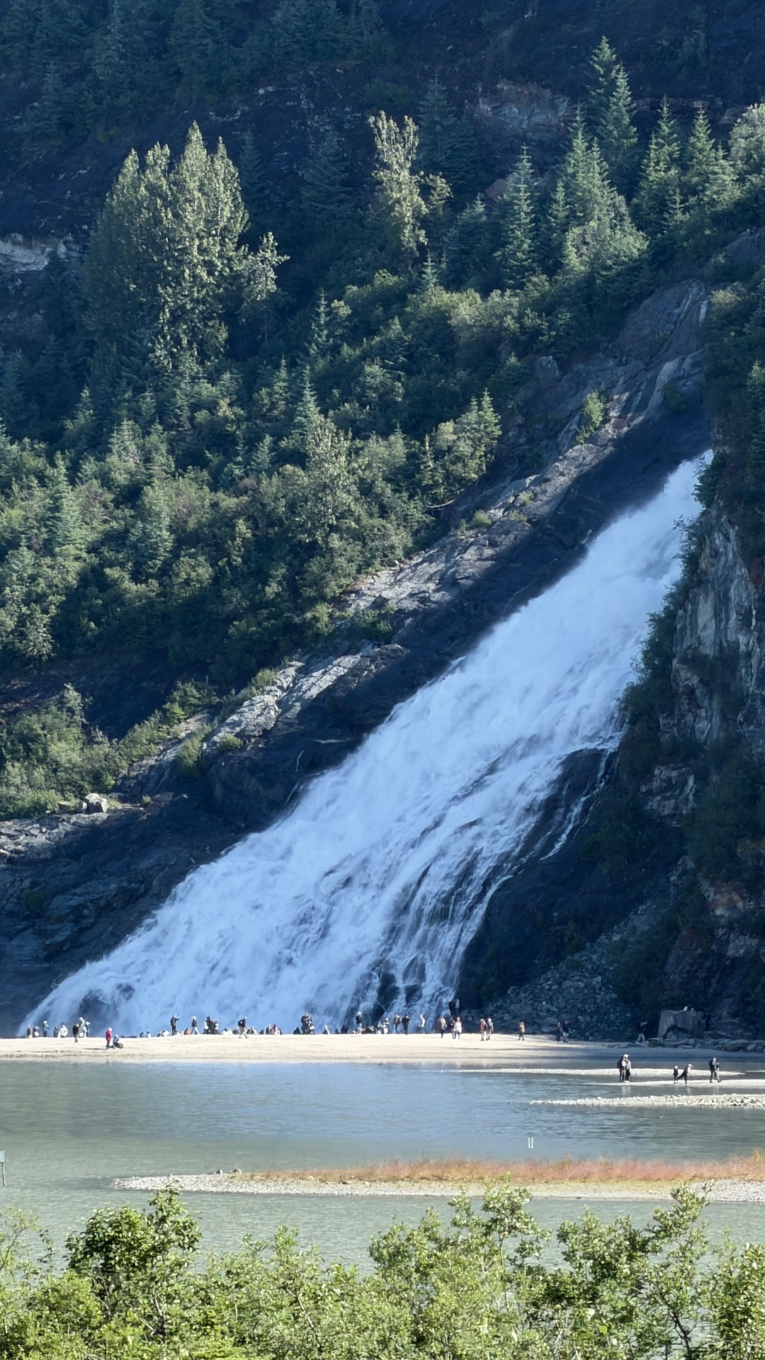 A tall waterfall cascading down a forested rock face into the water near Juneau