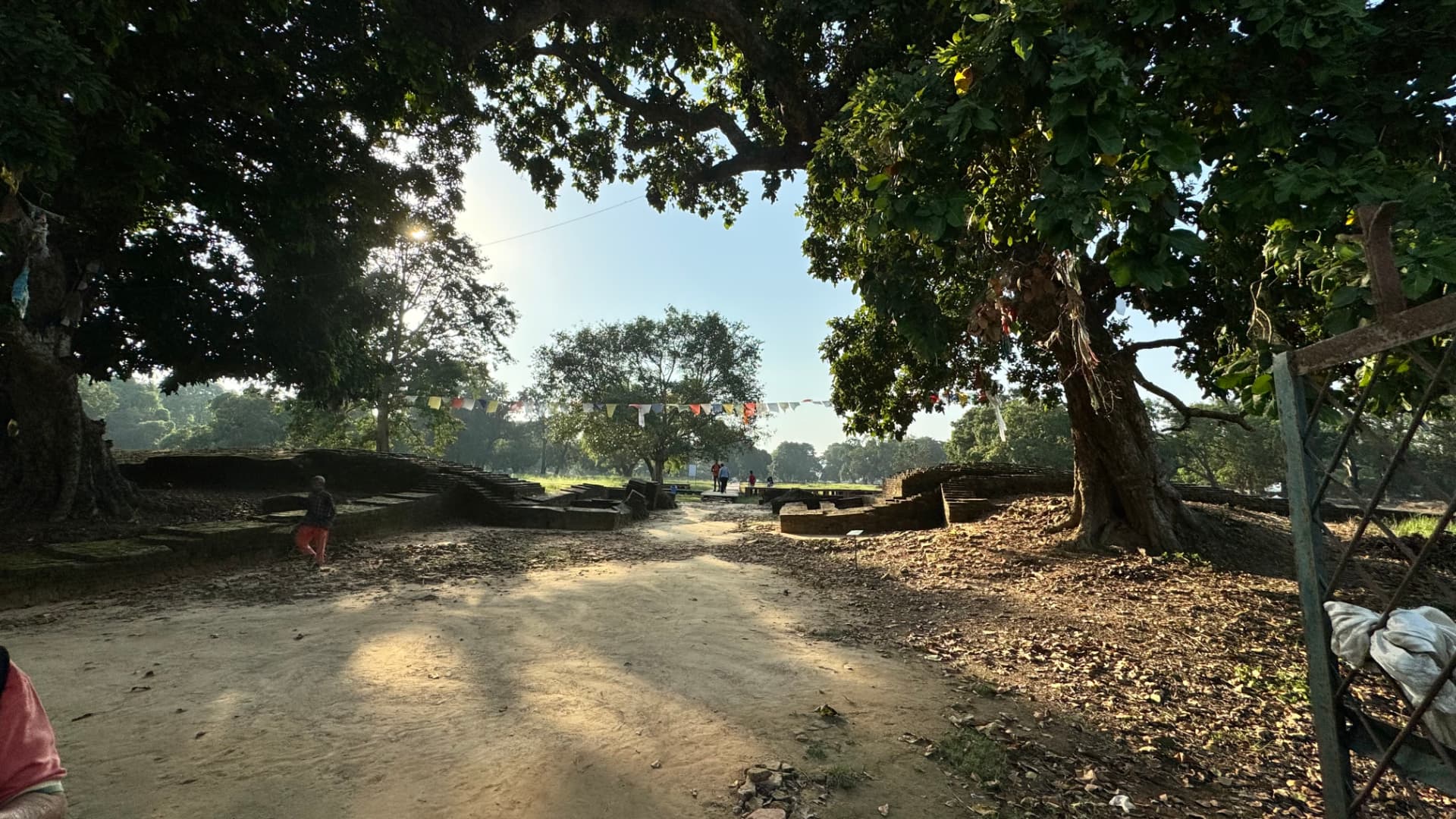 Sunlight and shade fall across a tree-lined path through the ruins. — Sacred sites near Lumbini, Nepal.