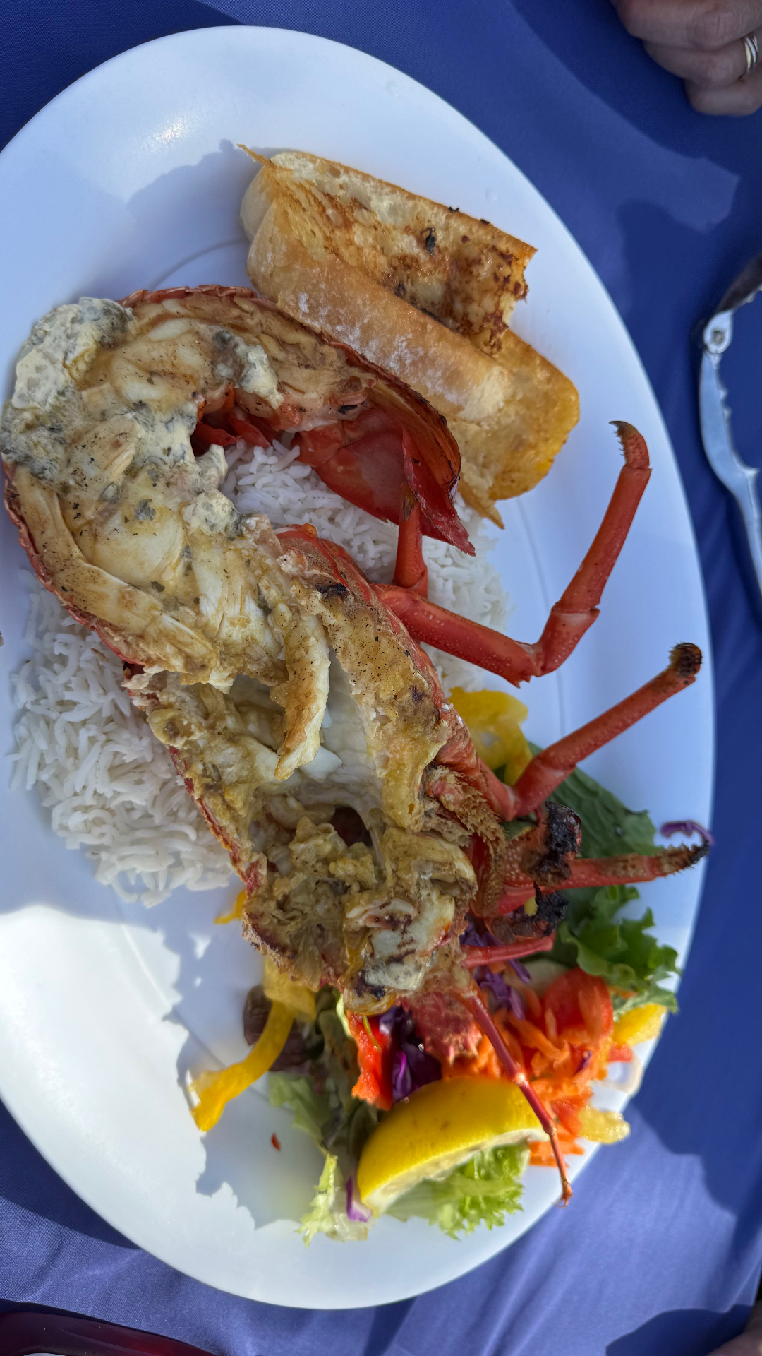 A grilled crayfish served on rice with garlic bread and salad on a white oval plate