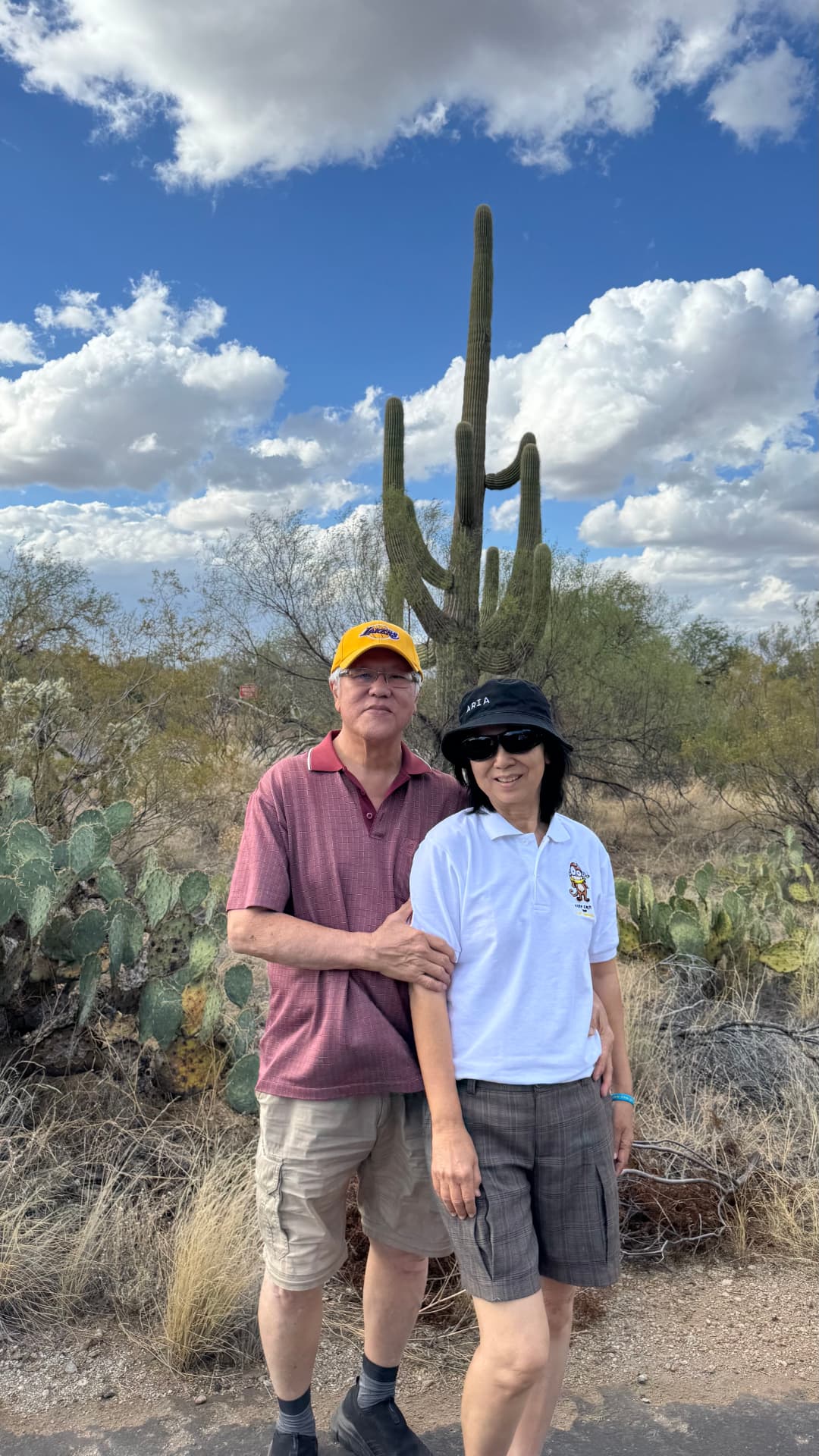 Saguaro National Park and Tucson travel photograph 20