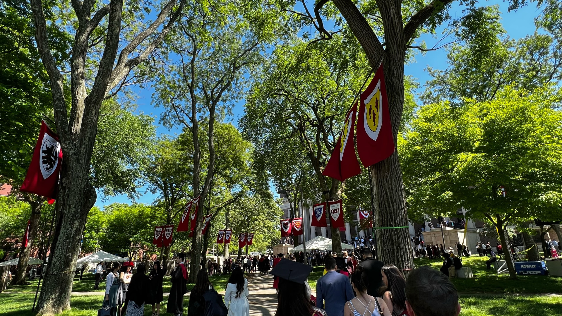 Harvard Yard path lined with crimson banners of the schools