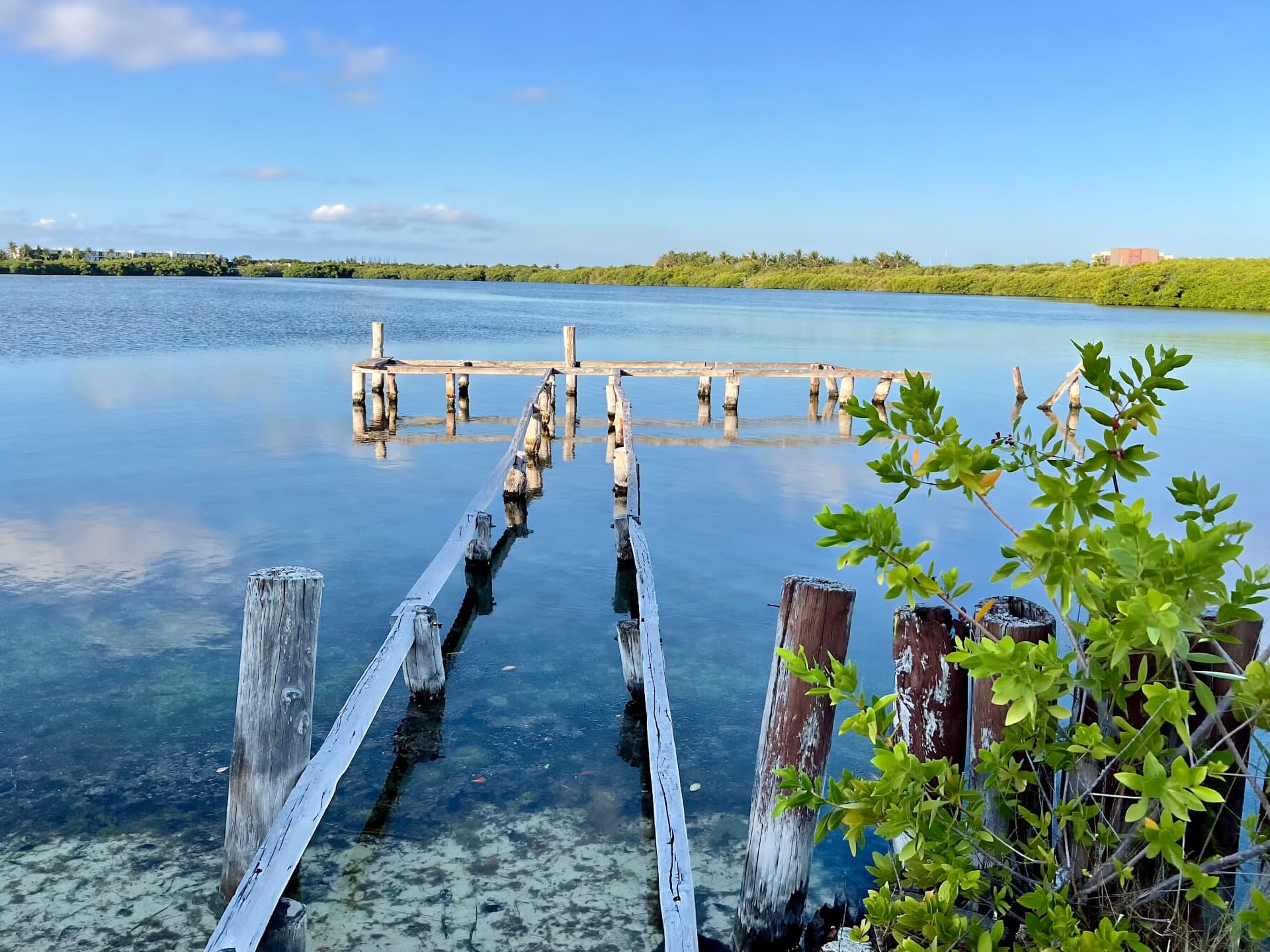 Old wooden pier reaching into a calm lagoon edged by mangroves