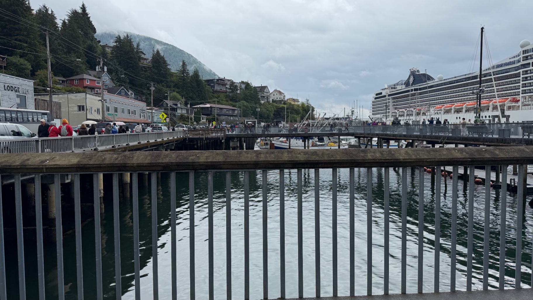 Ketchikan waterfront seen across the harbour, with hillside houses, fishing boats and a large cruise ship at the dock