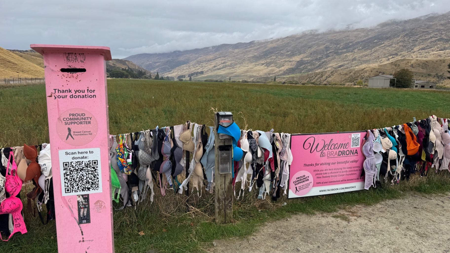A bright pink donation post beside a fence covered in bras, with rolling hills behind, supporting breast cancer research