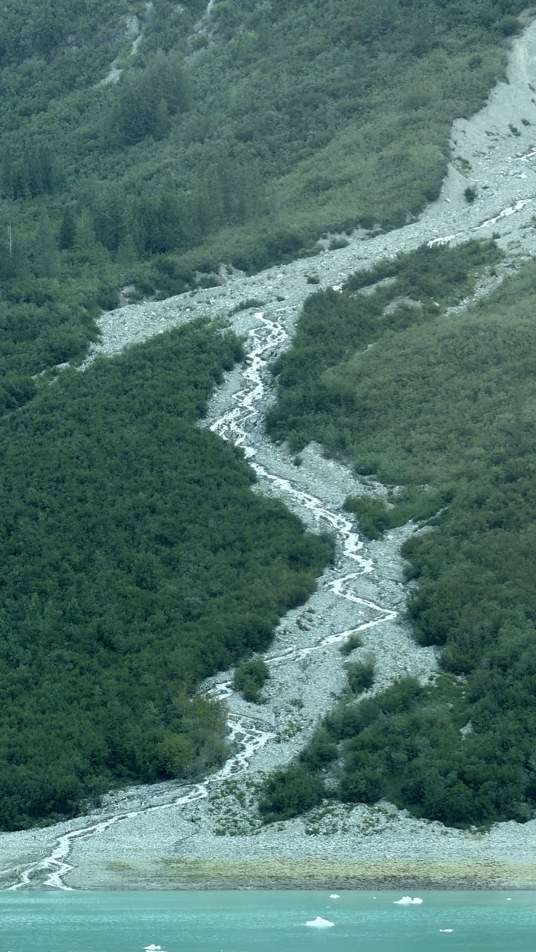 A braided meltwater stream descending through green forest and grey rock to turquoise water