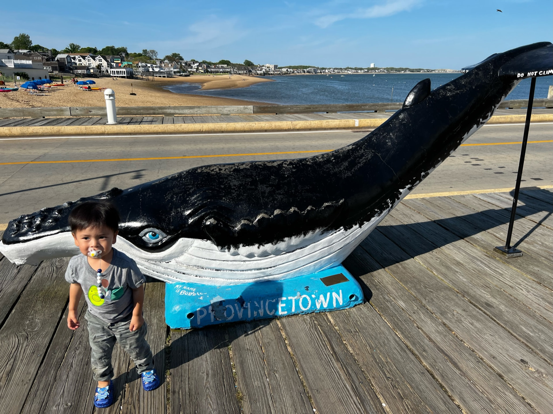Young child beside the large Provincetown whale sculpture