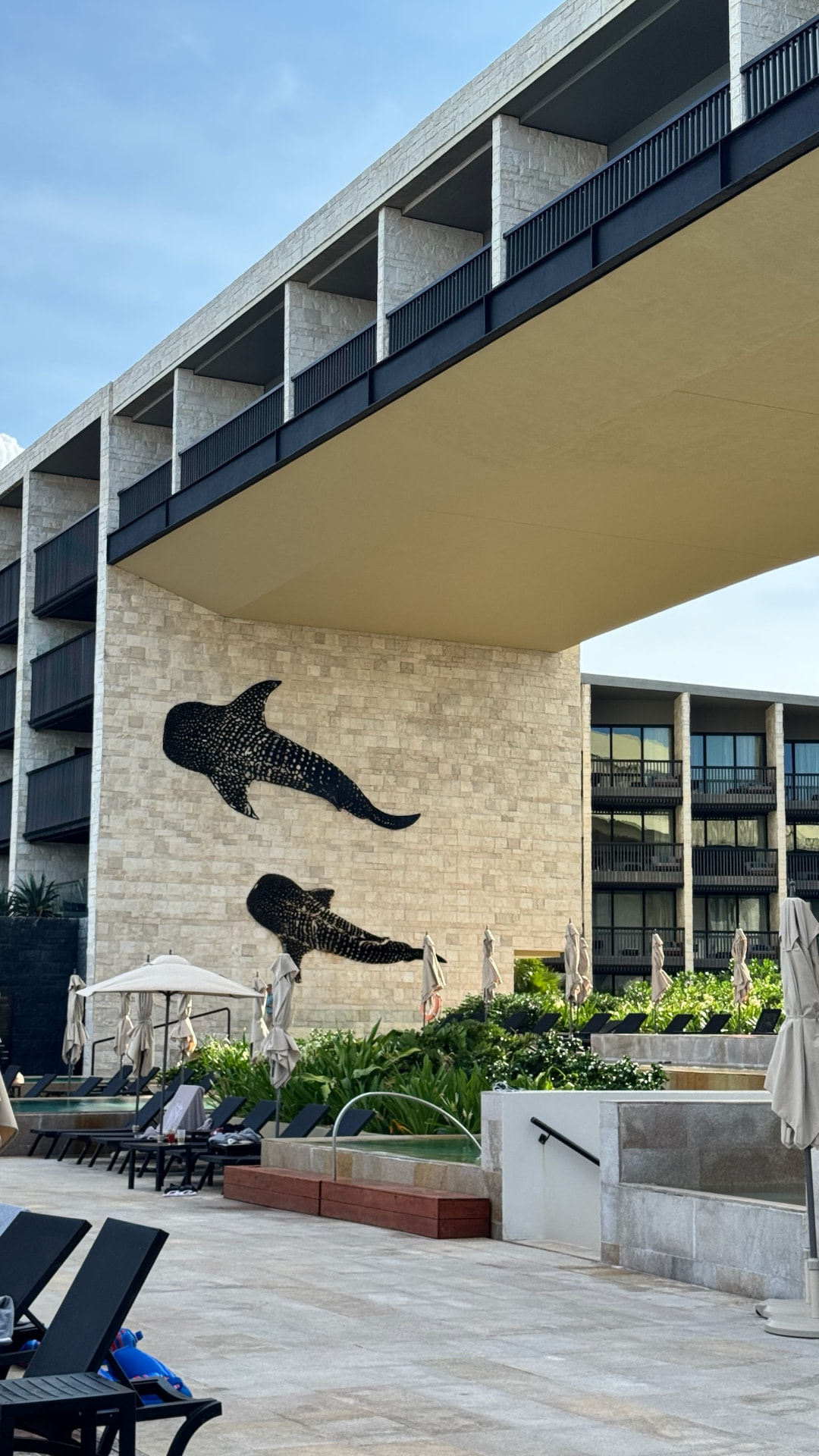 Whale shark artwork on pale stone above a resort pool